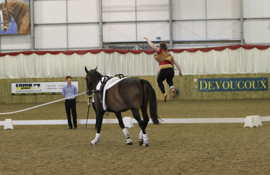 Busy Vaulting Life With Lizzie Bennett