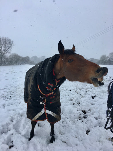 Why Join A riding Club With Katie Hughes