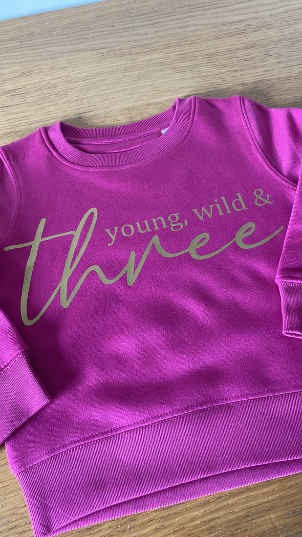 Hardy Equestrian Children's Young, Wild And Number Sweatshirt