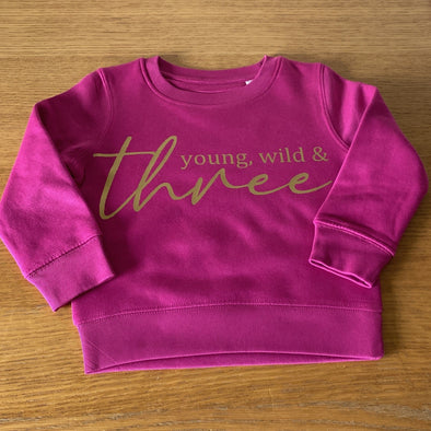 Hardy Equestrian Children's Young, Wild And Number Sweatshirt 2
