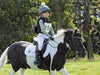 Linlithgow & Stirlingshire Pony Club Base Layer 6